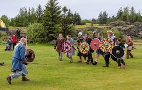 vikings fighting